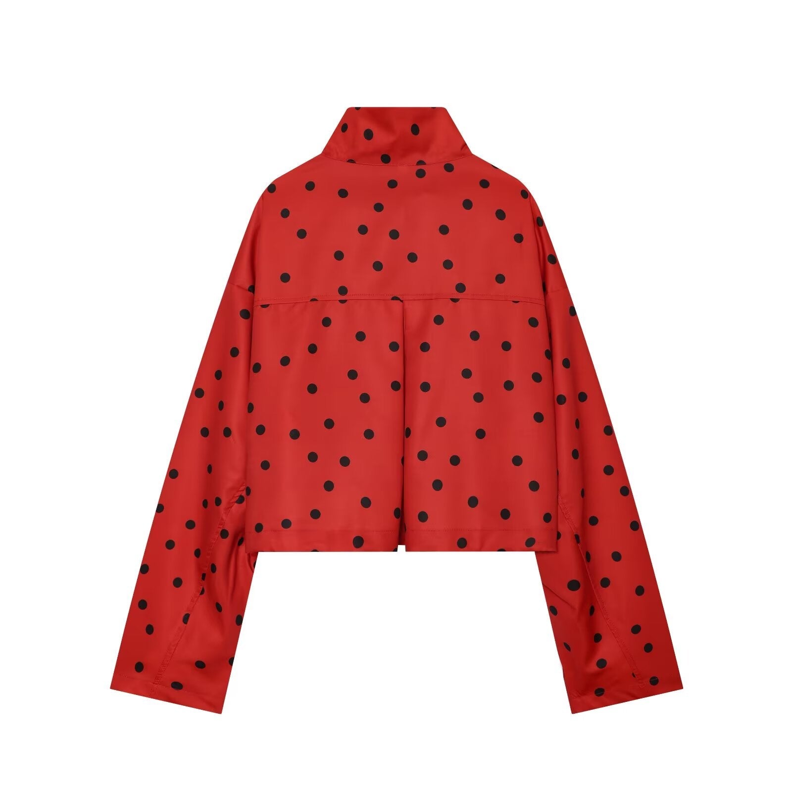 suit Women's 2 pieces lace up decorative polka dot Coat+shorts